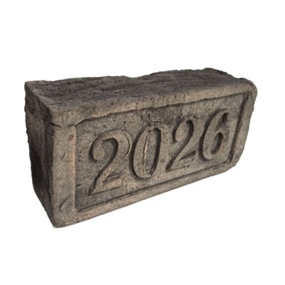 Кирпич с клеймом 2026 год 215x102x65